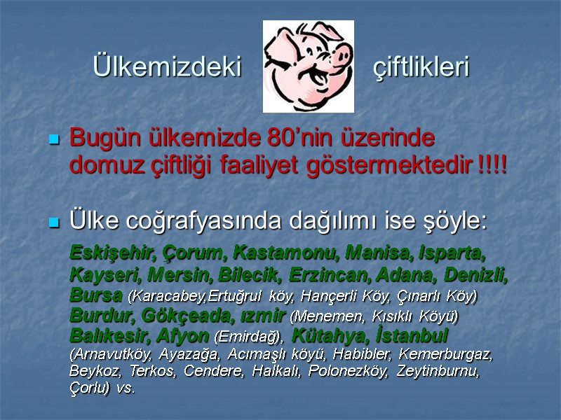 Ülkemizdeki   çiftlikleri Bugün ülkemizde 80’nin üzerinde domuz çiftliği faaliyet göstermektedir !!!! 